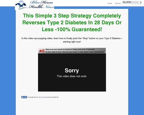 Type 2 Diabetes Strategy sl cb | Blue Heron Health News